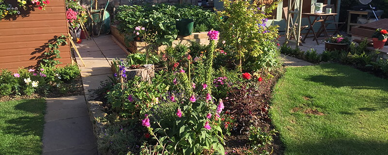 Asbestos in UK Gardens